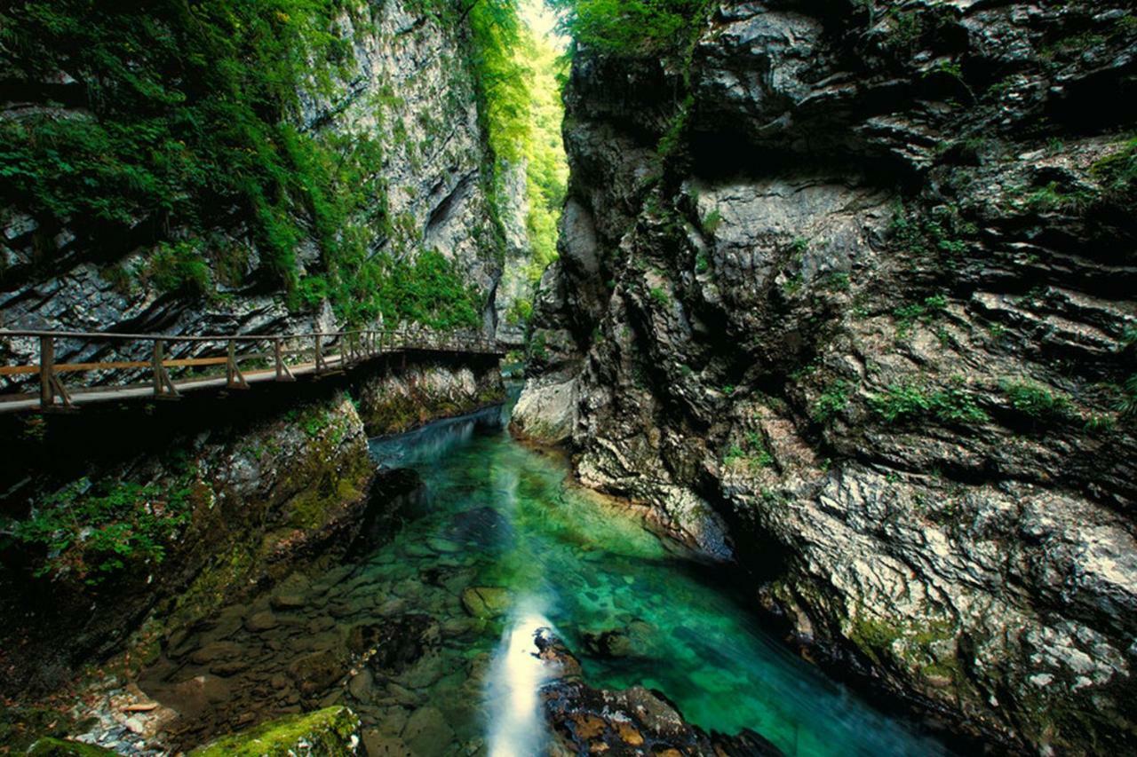 Hostel Bled Paradise Slovenia Εξωτερικό φωτογραφία
